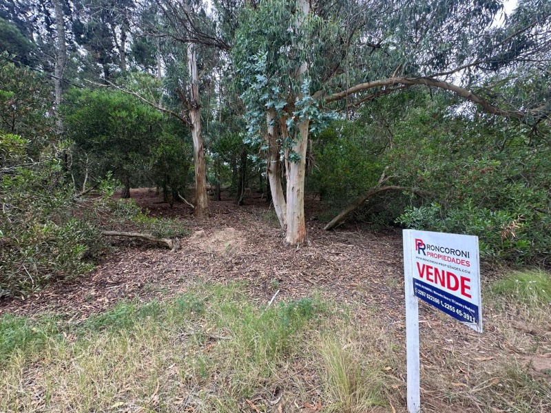Terrenos LOTE EN MAR DE LAS PAMPAS